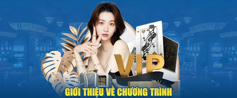 About Ko66 VIP membership program